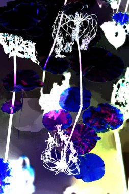 Nilüfer yaprakları ve nilüfer yapraklarıyla sunulan zarif desenli tasarım.