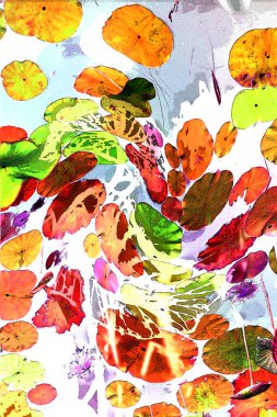 Nilüfer yaprakları ve nilüfer yapraklarıyla sunulan zarif desenli tasarım.