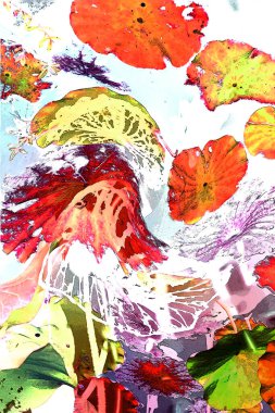 Nilüfer yaprakları ve nilüfer yapraklarıyla sunulan zarif desenli tasarım.