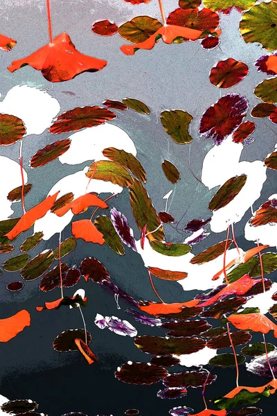 Nilüfer yaprakları ve nilüfer yapraklarıyla sunulan zarif desenli tasarım.