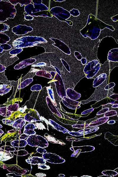 Nilüfer yaprakları ve nilüfer yapraklarıyla sunulan zarif desenli tasarım.