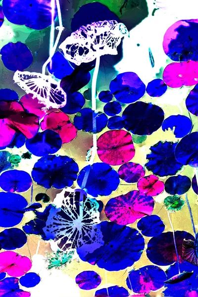 Nilüfer yaprakları ve nilüfer yapraklarıyla sunulan zarif desenli tasarım.