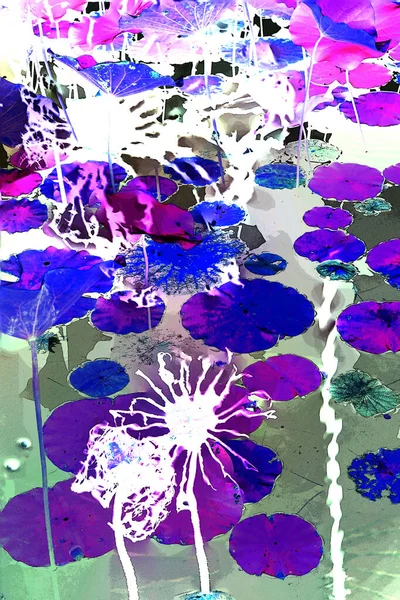 Nilüfer yaprakları ve nilüfer yapraklarıyla sunulan zarif desenli tasarım.