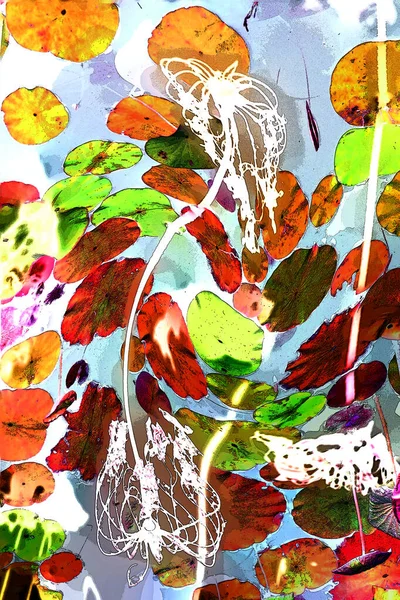 Nilüfer yaprakları ve nilüfer yapraklarıyla sunulan zarif desenli tasarım.