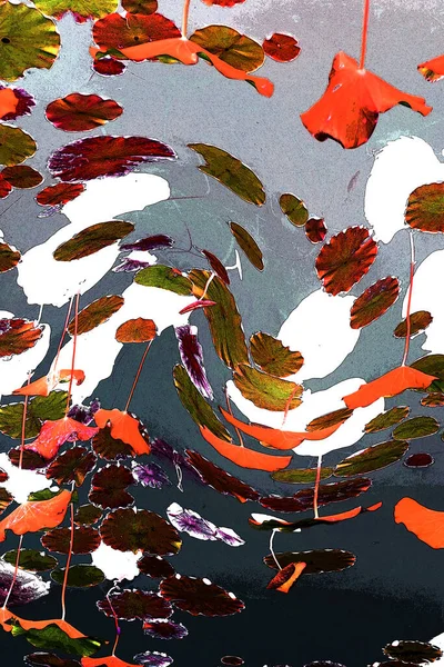 Nilüfer yaprakları ve nilüfer yapraklarıyla sunulan zarif desenli tasarım.