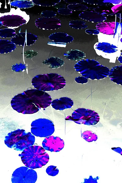 Nilüfer yaprakları ve nilüfer yapraklarıyla sunulan zarif desenli tasarım.