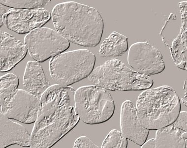 Seramik duvar ve döşemeler için doku arkaplanı. Banyo, mutfak kiremitleri. Duvar kağıdı..