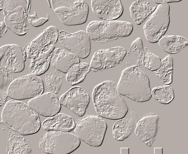 Seramik duvar ve döşemeler için doku arkaplanı. Banyo, mutfak kiremitleri. Duvar kağıdı..