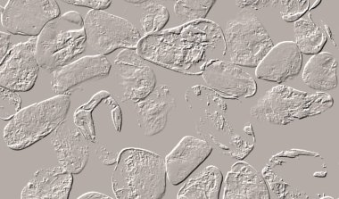 Seramik duvar ve döşemeler için doku arkaplanı. Banyo, mutfak kiremitleri. Duvar kağıdı..