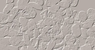 Seramik duvar ve döşemeler için doku arkaplanı. Banyo, mutfak kiremitleri. Duvar kağıdı..