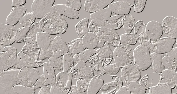 Seramik duvar ve döşemeler için doku arkaplanı. Banyo, mutfak kiremitleri. Duvar kağıdı..