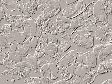 Seramik duvar ve döşemeler için doku arkaplanı. Banyo, mutfak kiremitleri. Duvar kağıdı..