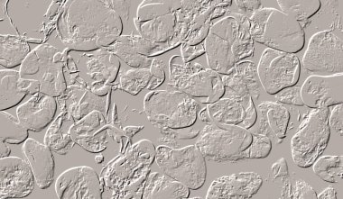 Seramik duvar ve döşemeler için doku arkaplanı. Banyo, mutfak kiremitleri. Duvar kağıdı..