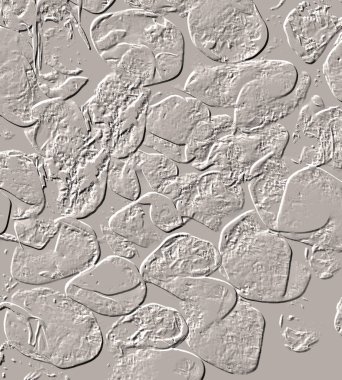 Seramik duvar ve döşemeler için doku arkaplanı. Banyo, mutfak kiremitleri. Duvar kağıdı..