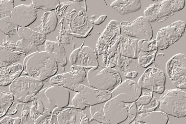 Seramik duvar ve döşemeler için doku arkaplanı. Banyo, mutfak kiremitleri. Duvar kağıdı..