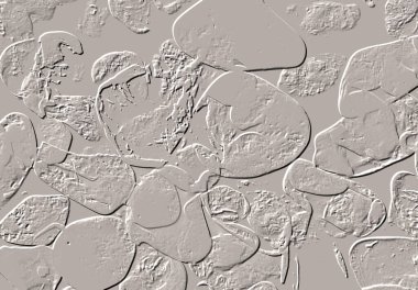 Seramik duvar ve döşemeler için doku arkaplanı. Banyo, mutfak kiremitleri. Duvar kağıdı..