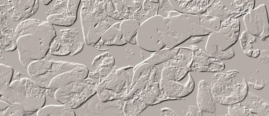 Seramik duvar ve döşemeler için doku arkaplanı. Banyo, mutfak kiremitleri. Duvar kağıdı..