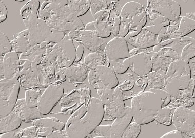 Seramik duvar ve döşemeler için doku arkaplanı. Banyo, mutfak kiremitleri. Duvar kağıdı..