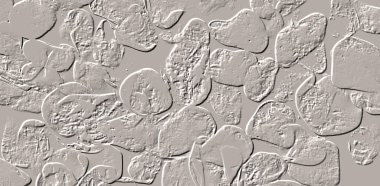 Seramik duvar ve döşemeler için doku arkaplanı. Banyo, mutfak kiremitleri. Duvar kağıdı..