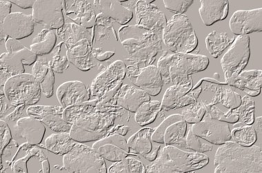 Seramik duvar ve döşemeler için doku arkaplanı. Banyo, mutfak kiremitleri. Duvar kağıdı..