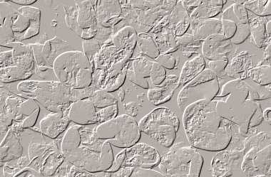 Seramik duvar ve döşemeler için doku arkaplanı. Banyo, mutfak kiremitleri. Duvar kağıdı..