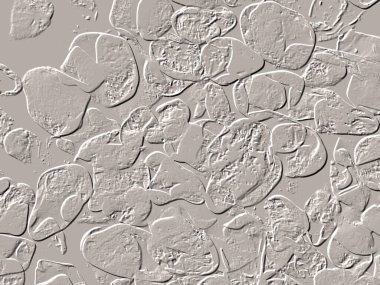 Seramik duvar ve döşemeler için doku arkaplanı. Banyo, mutfak kiremitleri. Duvar kağıdı..