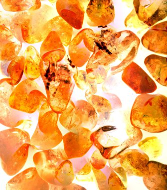 Kristal enine kesit arkaplanı. Doğal saydam agat kristal yüzey dilimi. Madenin makro yakın çekimi, soyut yapı