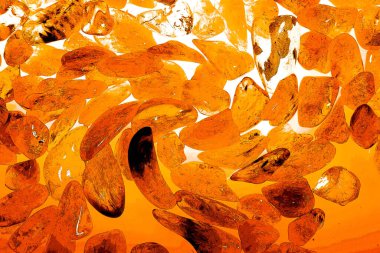 Kristal enine kesit arkaplanı. Doğal saydam agat kristal yüzey dilimi. Madenin makro yakın çekimi, soyut yapı