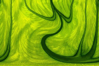 Yaprak dokusu tarafından oluşturulan güzel desen arkaplanı