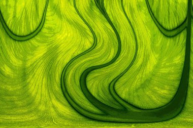 Yaprak dokusu tarafından oluşturulan güzel desen arkaplanı