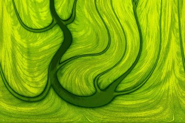 Yaprak dokusu tarafından oluşturulan güzel desen arkaplanı