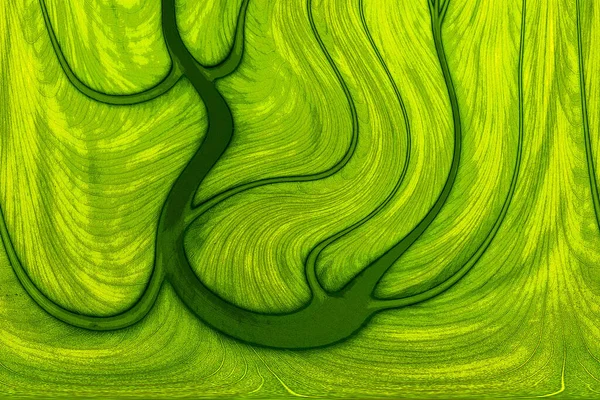 Yaprak dokusu tarafından oluşturulan güzel desen arkaplanı