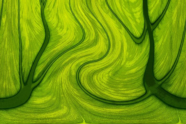 Yaprak dokusu tarafından oluşturulan güzel desen arkaplanı