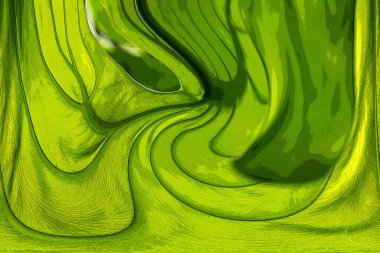 Yaprak dokusu tarafından oluşturulan güzel desen arkaplanı