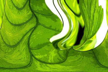 Yaprak dokusu tarafından oluşturulan güzel desen arkaplanı