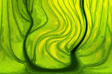 Yaprak dokusu tarafından oluşturulan güzel desen arkaplanı