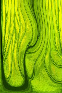 Yaprak dokusu tarafından oluşturulan güzel desen arkaplanı