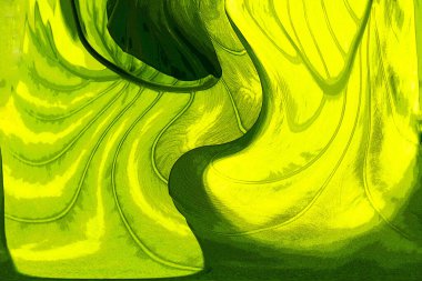 Yaprak dokusu tarafından oluşturulan güzel desen arkaplanı