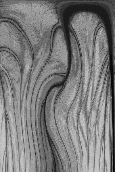 Yaprak dokusu tarafından oluşturulan güzel desen arkaplanı