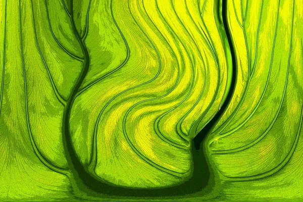 Yaprak dokusu tarafından oluşturulan güzel desen arkaplanı