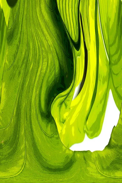 Yaprak dokusu tarafından oluşturulan güzel desen arkaplanı