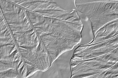 Doku arkaplanı ile geometri tekrarlama deseni