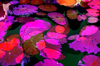 Lotus yaprağı ormanı. Çevre sorunları. Düz dizayn. Yüksek kalite vektör çizimi. Arkaplan deseni.