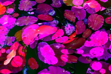 Lotus yaprağı ormanı. Çevre sorunları. Düz dizayn. Yüksek kalite vektör çizimi. Arkaplan deseni.