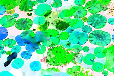 Lotus yaprağı ormanı. Çevre sorunları. Düz dizayn. Yüksek kalite vektör çizimi. Arkaplan deseni.