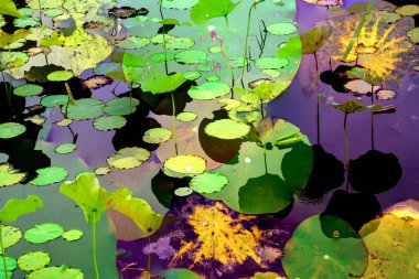 Lotus yaprağı ormanı. Çevre sorunları. Düz dizayn. Yüksek kalite vektör çizimi. Arkaplan deseni.