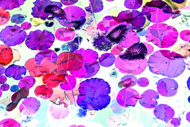 Lotus yaprağı ormanı. Çevre sorunları. Düz dizayn. Yüksek kalite vektör çizimi. Arkaplan deseni.