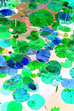 Lotus yaprağı ormanı. Çevre sorunları. Düz dizayn. Yüksek kalite vektör çizimi. Arkaplan deseni.