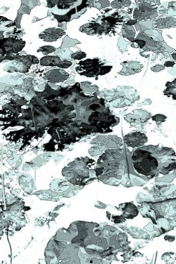 Lotus yaprağı ormanı. Çevre sorunları. Düz dizayn. Yüksek kalite vektör çizimi. Arkaplan deseni.