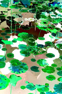 Lotus yaprağı ormanı. Çevre sorunları. Düz dizayn. Yüksek kalite vektör çizimi. Arkaplan deseni.